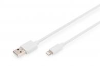 USB-A and USB-B